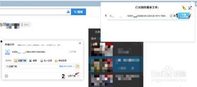 黑料網永久免費網站直接進入網頁,暢游網絡世界的秘密通道