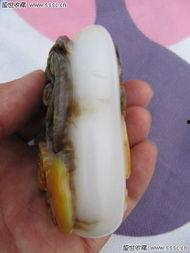 朝陽黑料,揭開真相背后的迷霧