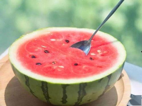 吃瓜網(wǎng)官網(wǎng)免費(fèi)觀看