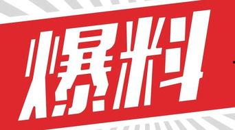 獨家爆料素材,震驚內(nèi)幕，揭秘某事件背后驚人真相！