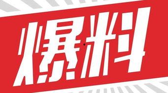獨家爆料,震驚內(nèi)幕，揭秘事件背后真相！