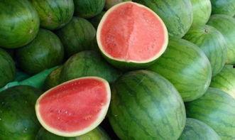 熱門大瓜每日必吃大瓜合集,揭秘娛樂圈最新動態(tài)，一網(wǎng)打盡娛樂圈風云