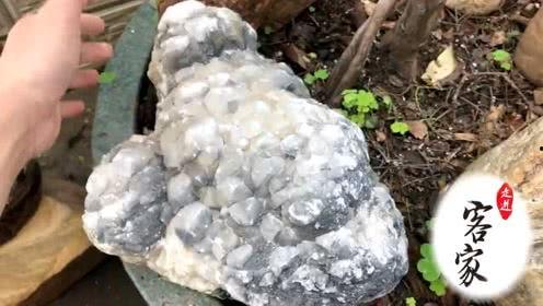 有點料官網(wǎng),解鎖生活新趣味