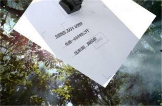 今日看料,揭秘最新資訊背后的故事